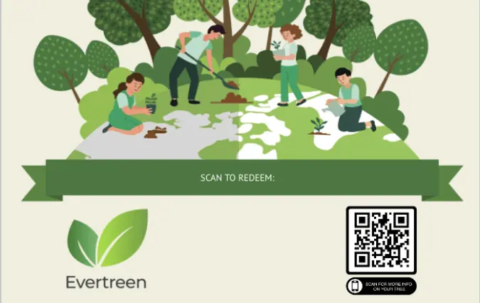 Evertreen Guthaben 30,00 €, Deutschland